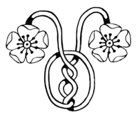 a celtic design of a flower on a black background