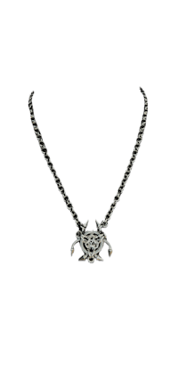 a silver necklace with a celtic symbol on it